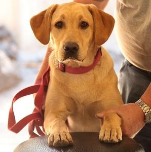 Meet your Posher, Robert